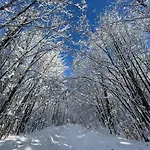 Moosegger * باد بلنباخ