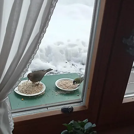 Moosegger Lejlighed *